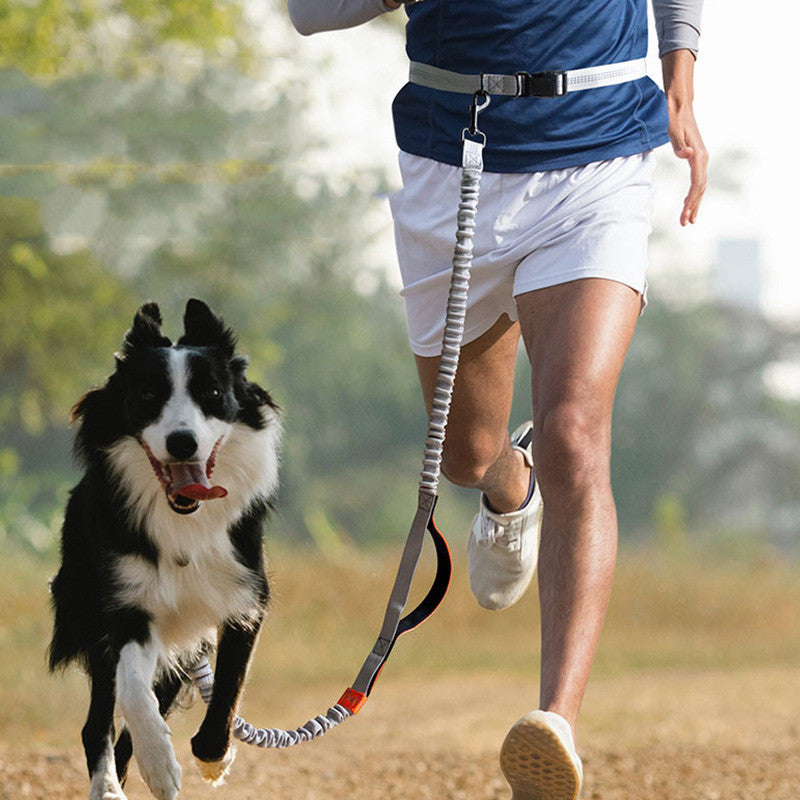 Get Ready to Run with Your Furry Friend: The Ultimate Outdoor Running Pet Leash!